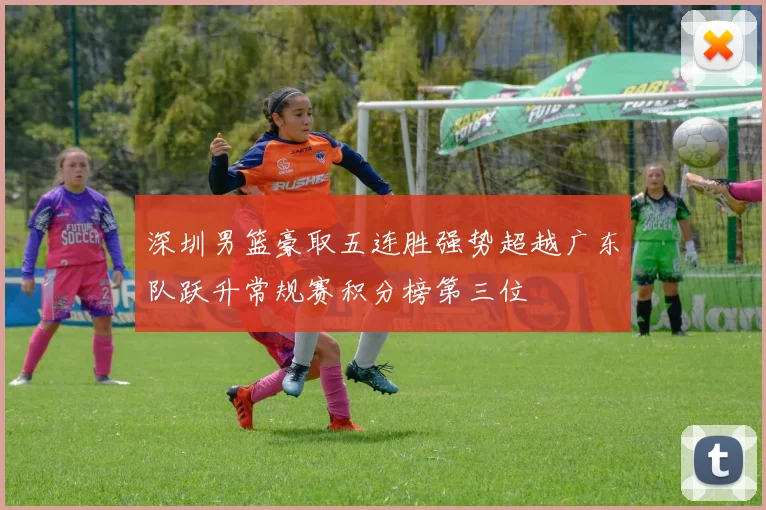 深圳男篮豪取五连胜强势超越广东队跃升常规赛积分榜第三位