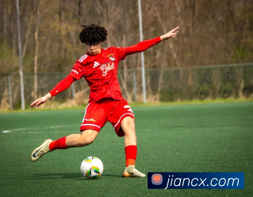 开云手机在线登陆入口服务体系