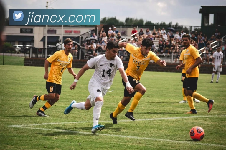 多媒体互动体验